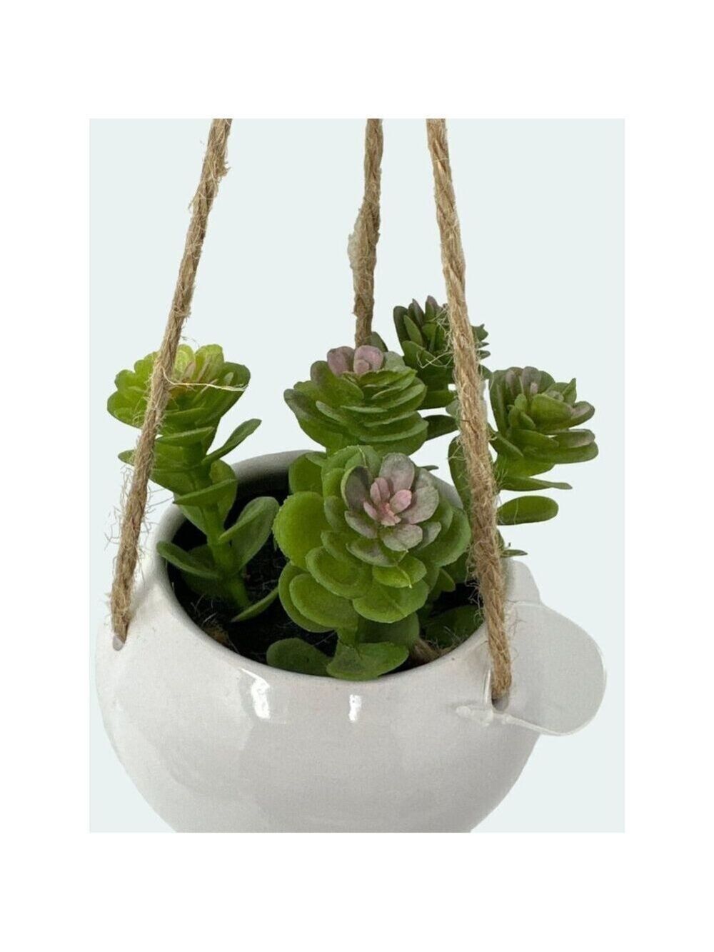 Plant Artificial Hanging Miniature Succulent Plant Faux Fake Ceramic Green White